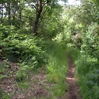 DSCN2749