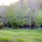 DSCN9153