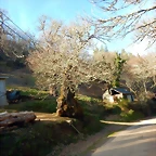 DSCN4017