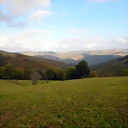DSCN8458
