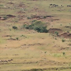 Ithala Game Reserve 1-05-09 339