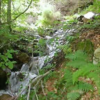 DSCN3874