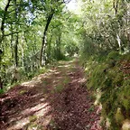 DSCN2092