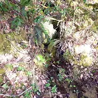 DSCN2094