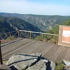 DSCN4589