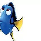 Dory