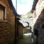 DSCN4358