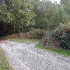 DSCN5282
