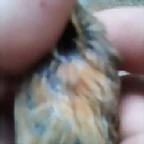 2013-03-17 12.14.44