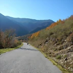 DSCN9155