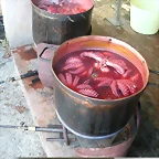 DSCN3175