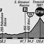 Terminillo 81