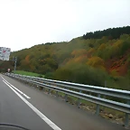 DSCN5871