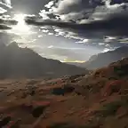 Sahara_after_rain