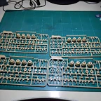 DSCN5832