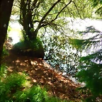 DSCN6357