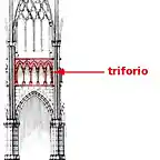triforio