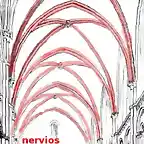 nervio
