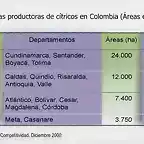 zonas productoras de citricos en colombia