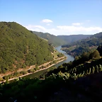DSCN4207
