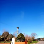 DSCN2544