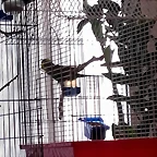 IMG-20180520-WA0028