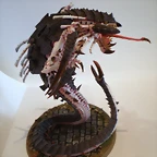 Mawloc Tirnido (13)