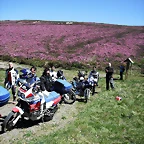 DSCF2550