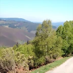 DSCN4441
