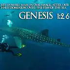 Genesis-1-26-