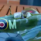 Spitfire (7)