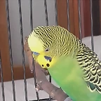 20170616_120651