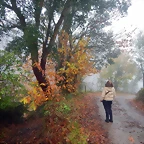 DSCN0356
