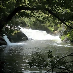 DSCN2839