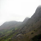 opulego