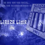 Ynlqv10ckEL7[1]