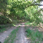 Imagen 003