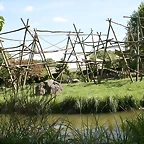 Beauval agost 2010 754