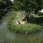 Beauval agost 2010 651