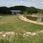 Beauval agost 2010 558