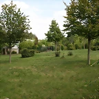 Beauval agost 2010 603