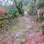 13-IMG_3145