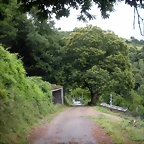 DSCN4749