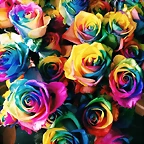 2015-01-18 18.43.13 900914454100873845_185143235