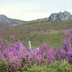 19-Imagen 075