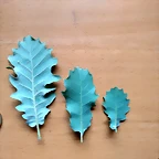 IMG_20180526_112841