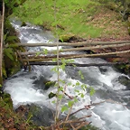 DSCN4422