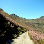DSCN1132