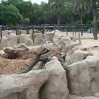 Zoo de Barcelona 22-07-2010 163