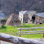 DSCN8557